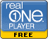 Real One Player̖ł肷